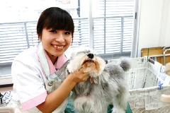 名古屋コミュニケーションアート専門学校(ペット)