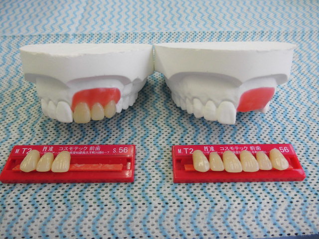 東海歯科医療専門学校 【1日コース】本格的な歯科技工技術を学んでみよう！