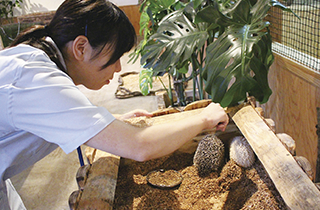 専門学校 福岡ビジョナリーアーツ【ペット学科】 福岡 1日体験入学】★動物飼育員step3ドリームクラス~
