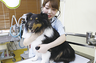 専門学校 福岡ビジョナリーアーツ【ペット学科】 福岡 1日体験入学】★動物看護師さんのお仕事体験~