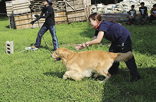 専門学校 福岡ビジョナリーアーツ【ペット学科】 【福岡 1日体験入学】★災害救助犬を育てよう~