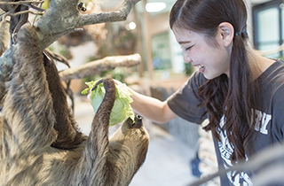 専門学校 福岡ビジョナリーアーツ【ペット学科】 【福岡 1日体験入学】★動物たちのえさやり体験~