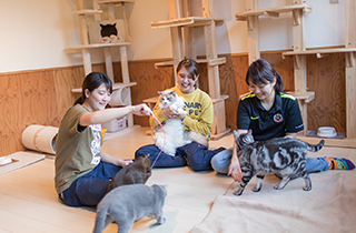 専門学校 福岡ビジョナリーアーツ【ペット学科】 【福岡 1日体験入学】★ワンコ・ニャンコのトレーニング★