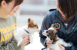 専門学校 福岡ビジョナリーアーツ【ペット学科】 【福岡 1日体験入学】★子犬の抱っこさんぽ★