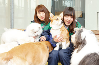 専門学校 福岡ビジョナリーアーツ【ペット学科】 【福岡 1日体験入学】★DREAM CLASS★担当犬を決めよう!★