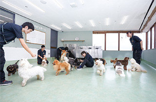 専門学校 福岡ビジョナリーアーツ【ペット学科】 【福岡 1日体験入学】★学校まるごと見学ツアー★