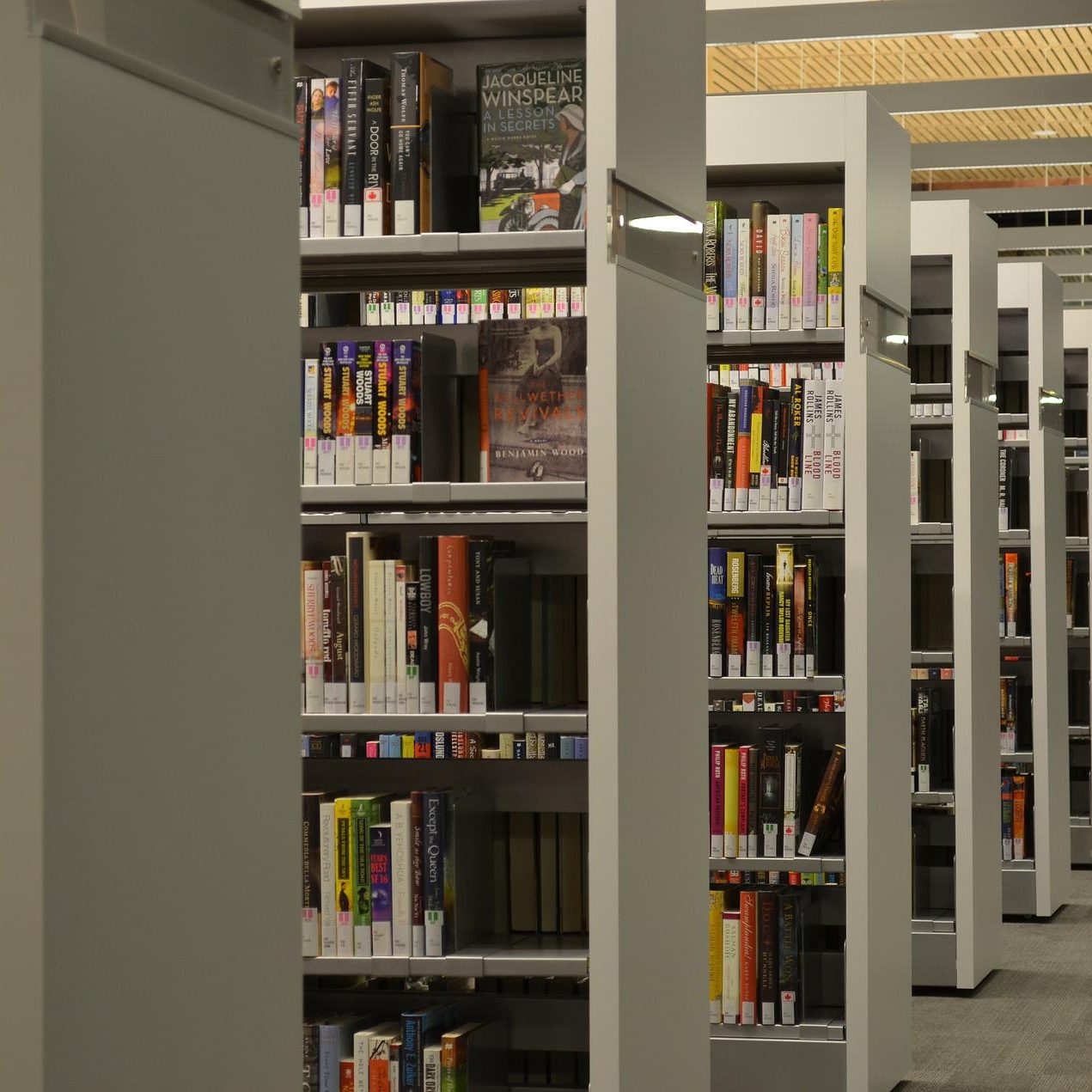 八洲学園大学 図書館司書　14冊セット cornell-university-82344_1920-