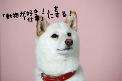 学校法人 穴吹学園 専門学校穴吹動物看護カレッジ