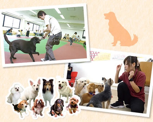 大阪ECO動物海洋専門学校 犬好き集まれ! ドッグトレーナーのお仕事体験!!【家庭犬】