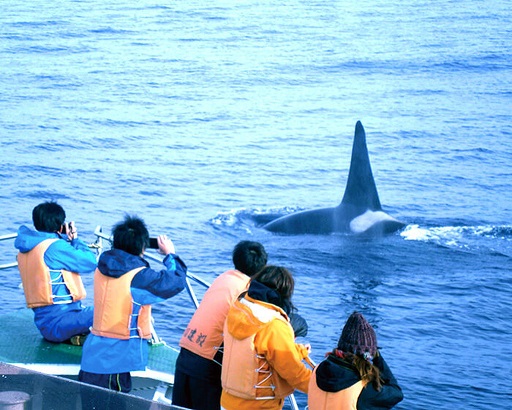 大阪ECO動物海洋専門学校 海洋調査員まるわかり講座