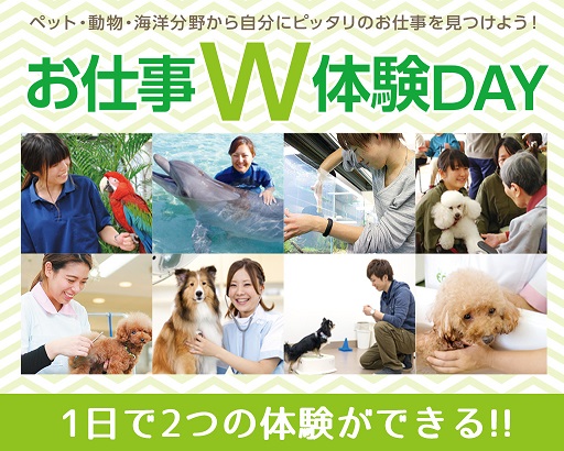 大阪ECO動物海洋専門学校 ペット・動物・海洋・自然分野から自分にピッタリのお仕事を見つけよう! お仕事W体験DAY