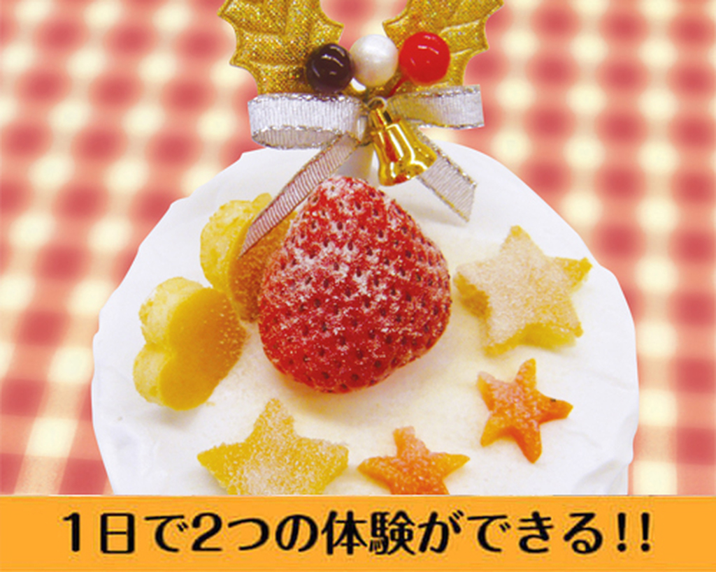 大阪ECO動物海洋専門学校 アニマルカフェスタッフ体験 ★お仕事W体験DAY