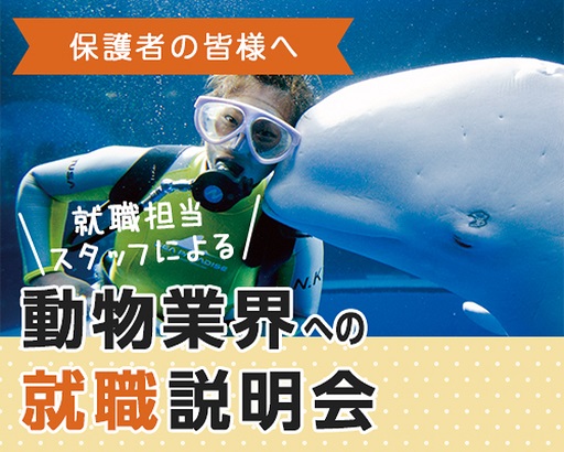 大阪ECO動物海洋専門学校 保護者の皆様へ キャリアセンタースタッフによる動物業界への就職説明会