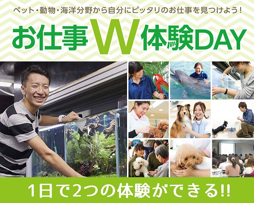 大阪ECO動物海洋専門学校 水族館・アクアリスト体験 ★お仕事W体験DAY★