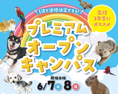 大阪ECO動物海洋専門学校 ☆プレミアムオープンキャンパス☆