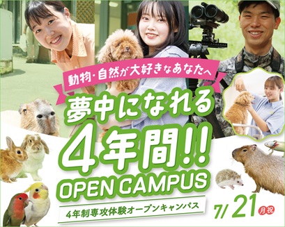 大阪ECO動物海洋専門学校 4年制専攻体験オープンキャンパス