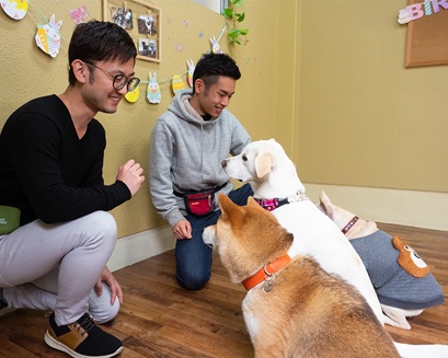 大阪ECO動物海洋専門学校 ドッグトレーナーのお仕事体験！！【家庭犬】