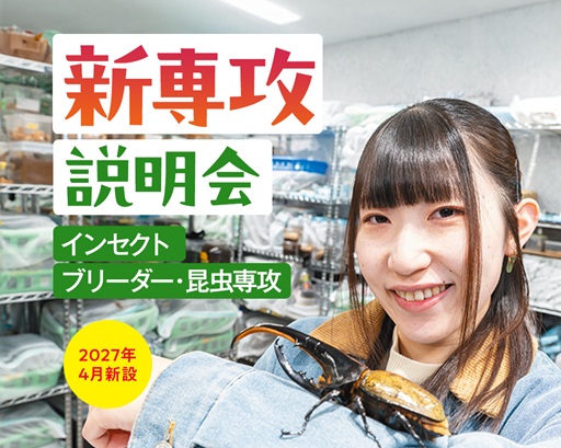 大阪ECO動物海洋専門学校 インセクトブリーダー・昆虫専攻【新専攻説明会】