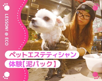 大阪ECO動物海洋専門学校 ペットエステティシャン体験!【泥パック】
