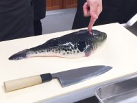 東京すし和食調理専門学校 9月21日(日)【体験実習】本格調理体験!