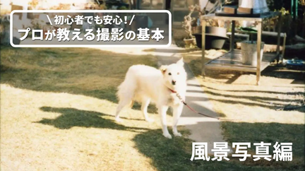 日本写真芸術専門学校 【体験授業】日常を切り取る、風景写真編