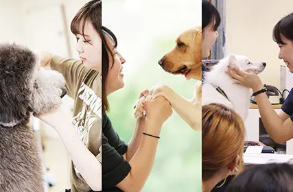 専門学校ビジョナリーアーツ[ペット学科／動物看護学科] 1月18日　オープンキャンパス【体験講座】
