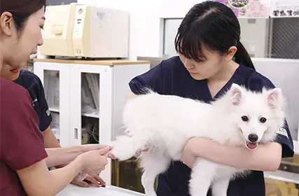 専門学校ビジョナリーアーツ[ペット学科／動物看護学科] 8月27日　オープンキャンパス【体験講座】
