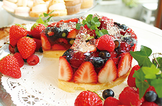 専門学校ビジョナリーアーツ 【午後】フルーツゼリーケーキを作ろう!