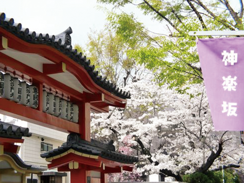 東京観光専門学校 【観光ビジネス学科】☆神楽坂ガイド体験