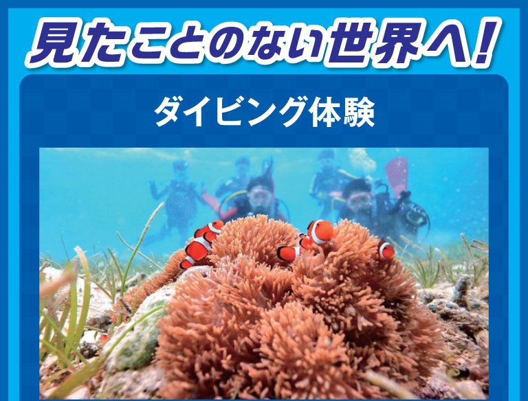 東京リゾート&スポーツ専門学校 ダイビング体験