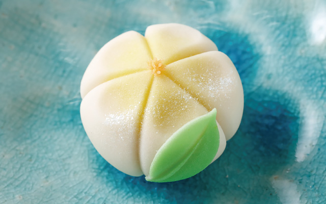 東京製菓学校 じっくり体験DAY【和菓子コース】