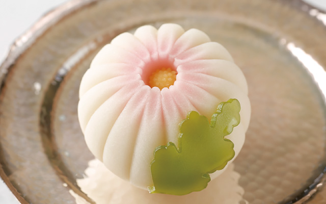 東京製菓学校 カジュアル体験DAY【和菓子コース】