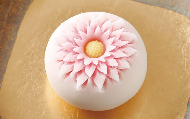 東京製菓学校 じっくり体験DAY【和菓子コース】