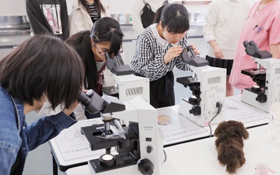東京愛犬専門学校 体験入学【愛犬美容学科希望者向け】