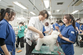 東京愛犬専門学校