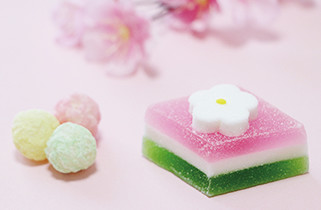 専門学校 福岡ビジョナリーアーツ【ペット学科】 ワンコも食べれるひなまつりおやつを作ろう