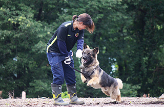 専門学校 福岡ビジョナリーアーツ【ペット学科】 お仕事犬の適性チェック