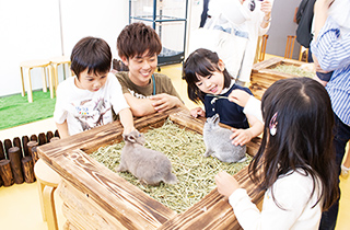 専門学校 福岡ビジョナリーアーツ【ペット学科】 ふれあい動物園