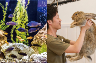 専門学校 福岡ビジョナリーアーツ【ペット学科】 動物園&水族館飼育員体験