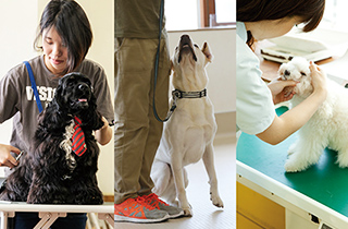 専門学校 福岡ビジョナリーアーツ【ペット学科】 人気の3専攻よくばり体験