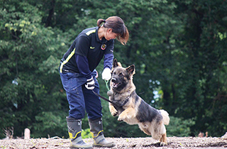 専門学校 福岡ビジョナリーアーツ【ペット学科】 警察犬訓練士さんのお仕事体験