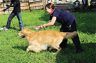 専門学校 福岡ビジョナリーアーツ【ペット学科】 【体験講座】災害救助犬トレーナーに挑戦