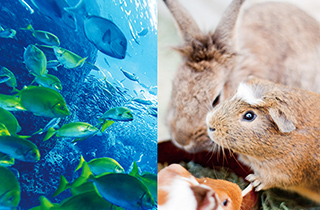専門学校 福岡ビジョナリーアーツ【ペット学科】 【体験講座】動物園&水族館飼育員体験