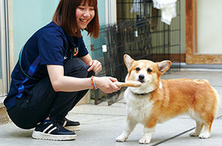 専門学校 福岡ビジョナリーアーツ【ペット学科】 お仕事犬の適性チェック!