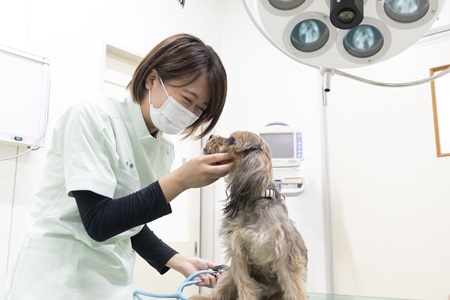 湘央生命科学技術専門学校 オープンキャンパス【愛玩動物看護師 体験コース】