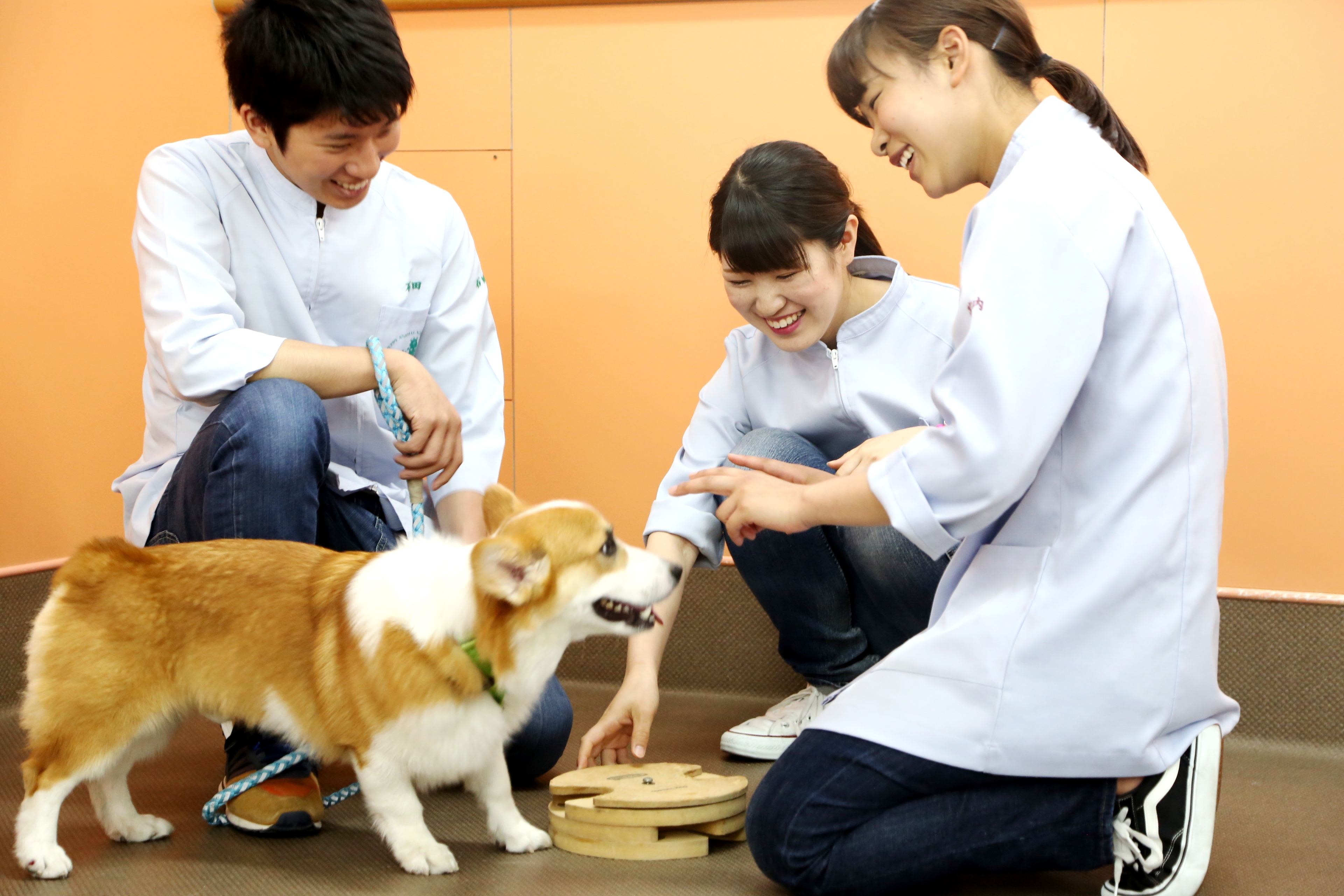 大阪ペピイ動物看護専門学校 この日の体験授業動物病院で行う身体検査 今日の体験授業は「動物病院で行う身体検査」です。 今回は、言葉を話さない動物の異常を見つ