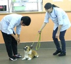 大阪ペピイ動物看護専門学校 【高校1・2年生向け】オープンキャンパス