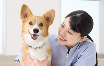 大阪ペピイ動物看護専門学校 【社会人/大学生向け】オープンキャンパス
